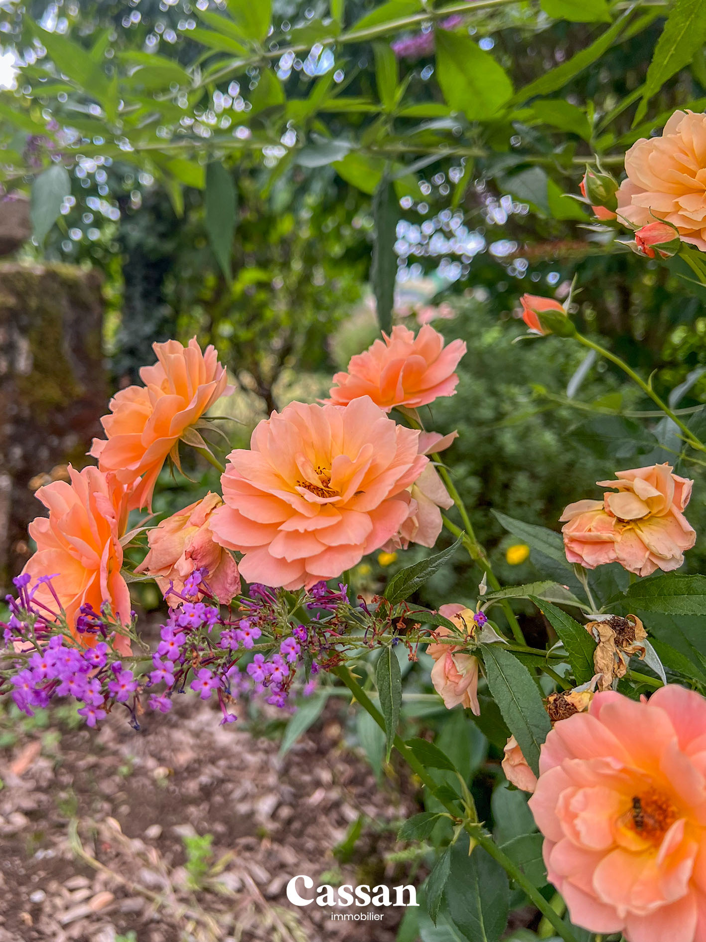 Maison à vendre Jussac Cassan Immobilier agence immobilière Aurillac