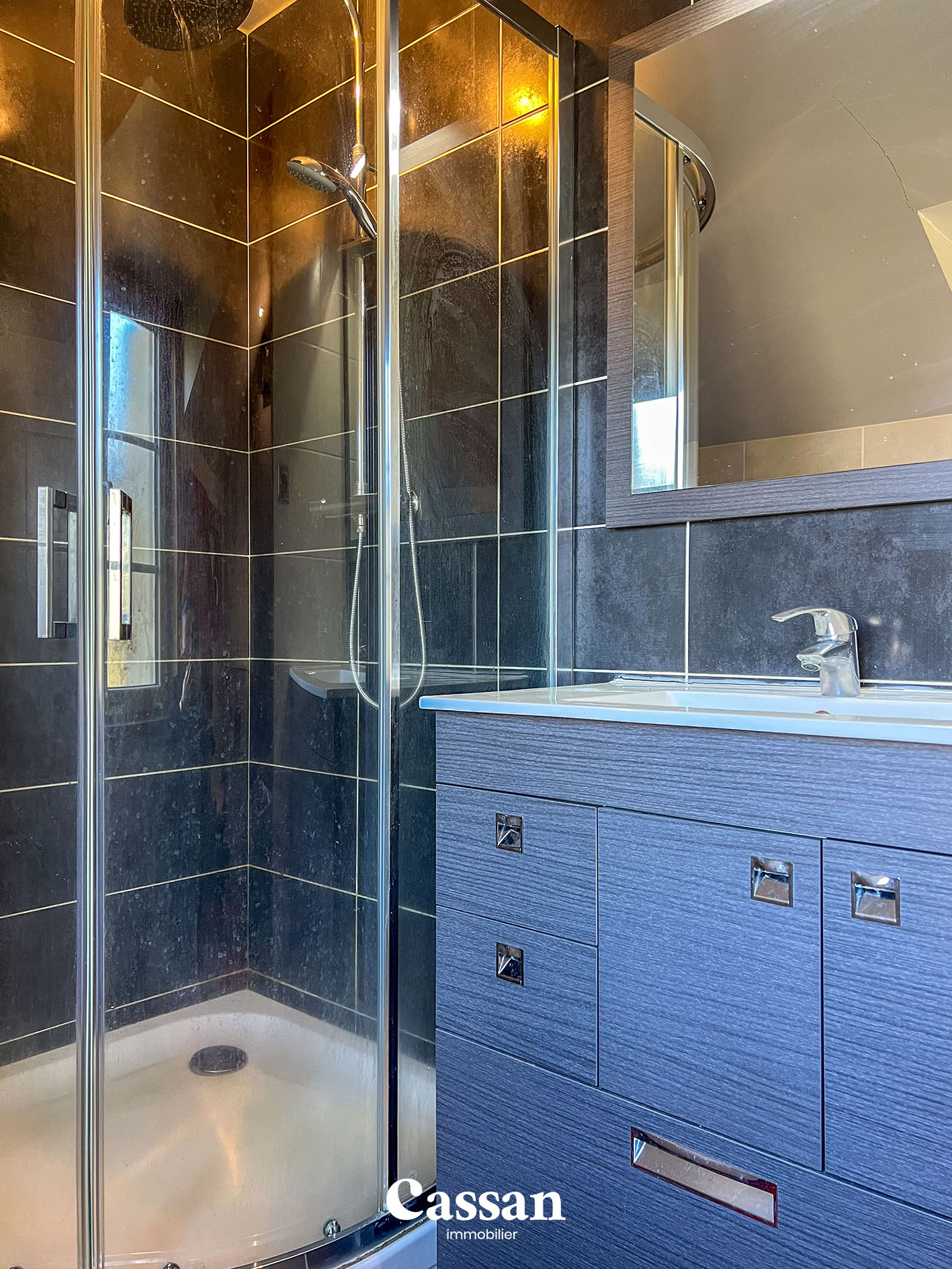 Maison à vendre Marmanhac Cassan Immobilier agence immobilière Aurillac