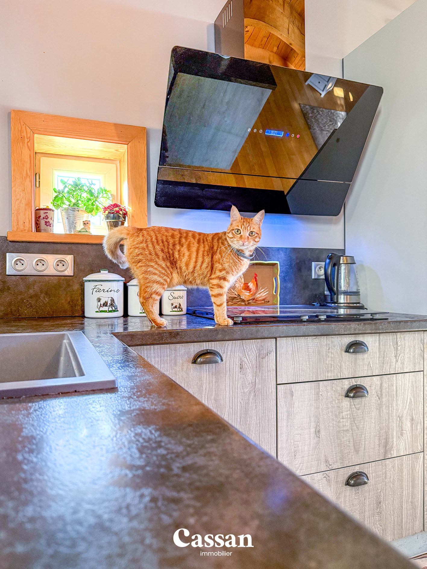 Maison à vendre Marmanhac Cassan Immobilier agence immobilière Aurillac