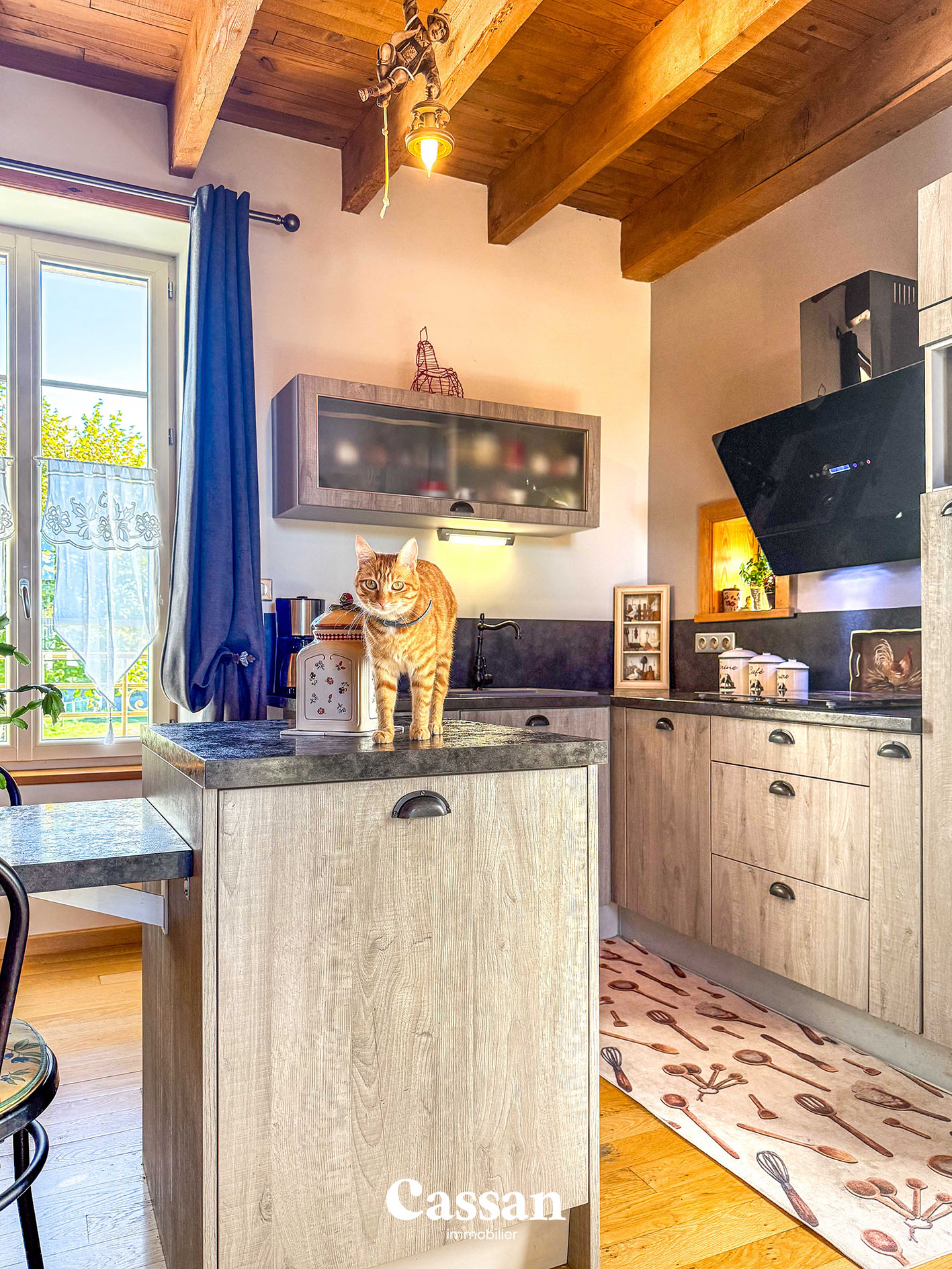 Maison à vendre Marmanhac Cassan Immobilier agence immobilière Aurillac